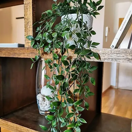 Anais Dreams&relax *