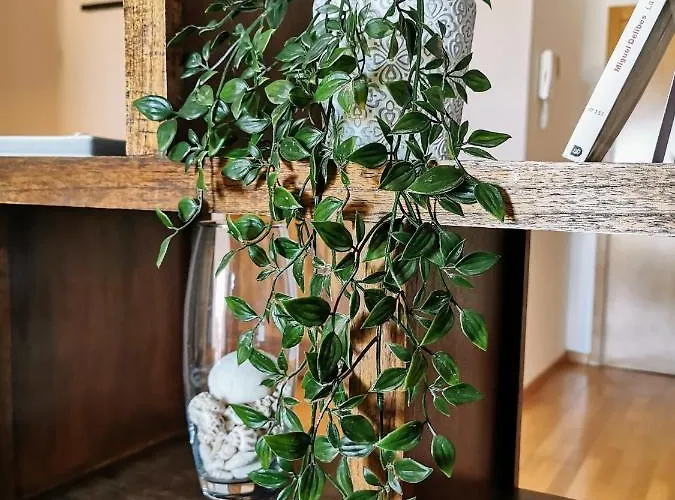 Anais Dreams&relax *